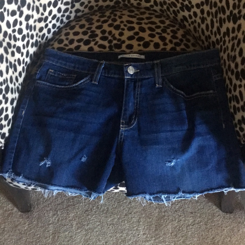 FLYING MONKEY SHORTS !💕